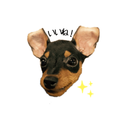 [LINEスタンプ] ヤンKeith