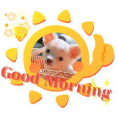 [LINEスタンプ] 犬好き♥