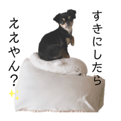 [LINEスタンプ] くうのすたんぷ2