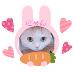 [LINEスタンプ] もなかねこスタンプ②スコテッシュ