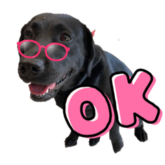 [LINEスタンプ] 黒ラブ 英語Ver.