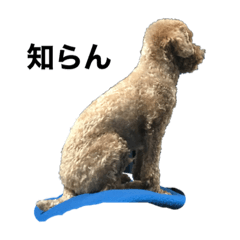 [LINEスタンプ] ロキくん(忠犬)第二弾