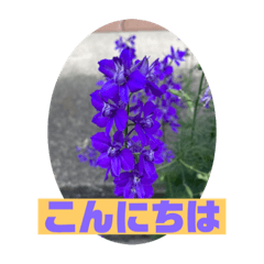[LINEスタンプ] ふぉと