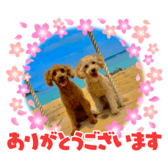 [LINEスタンプ] 嵐！杏寿郎！柘榴！