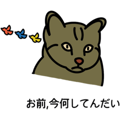 [LINEスタンプ] 本当にわがままな猫