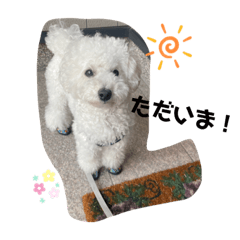 [LINEスタンプ] 愛犬ぷぅ君の日常
