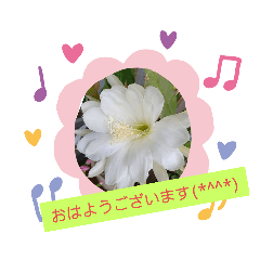 [LINEスタンプ] Minagi-igamachi-C