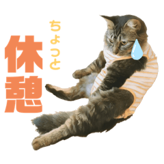 [LINEスタンプ] オス猫たち②