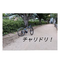 [LINEスタンプ] チャリドリ勢のスタンプ#2