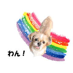 [LINEスタンプ] シーズーのダッシュ2