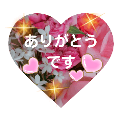 [LINEスタンプ] 花美人6