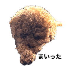 [LINEスタンプ] ロキくん(忠犬)第三弾