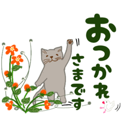 [LINEスタンプ] 大きな文字で猫のシンプル日常