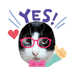 [LINEスタンプ] 良かったらどうぞ5♥️♥️