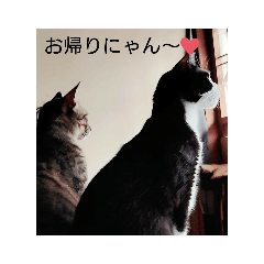 [LINEスタンプ] 良かったらどうぞにゃん