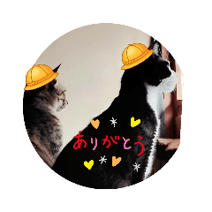 [LINEスタンプ] 良かったらどうぞにゃん2