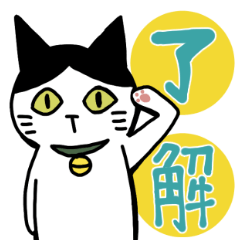 [LINEスタンプ] ハチワレ猫ちょび