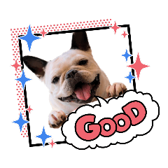 [LINEスタンプ] フレンチブルドック Three ブヒリーズ