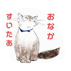 [LINEスタンプ] プッチのきもち