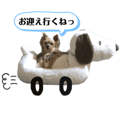 [LINEスタンプ] 松永ひめちゃんのスタンプ2