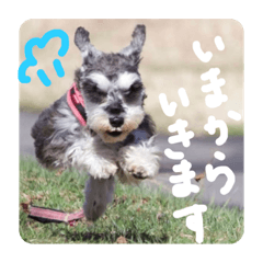 [LINEスタンプ] わがやのRunさん