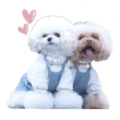 [LINEスタンプ] アネミルのスタンプだよん