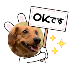[LINEスタンプ] シェリくん♡