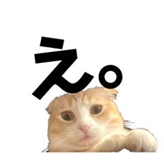 [LINEスタンプ] お嬢(ひな)スタンプ