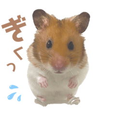 [LINEスタンプ] ちくわしゃんの日常