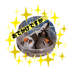 [LINEスタンプ] きんちゃんぎんちゃんの日常
