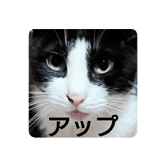 [LINEスタンプ] 良かったらどうぞ2♥️♥️