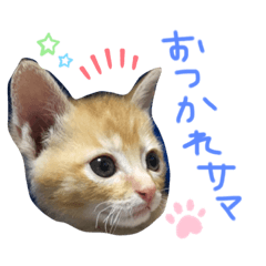 [LINEスタンプ] テヤンくん②