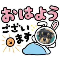 [LINEスタンプ] チョコ4❤