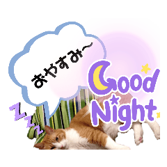 [LINEスタンプ] はるお祭り