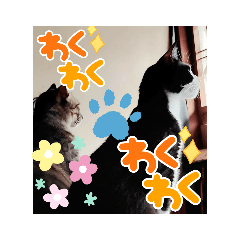 [LINEスタンプ] よかったどうぞ〜❤️♥️