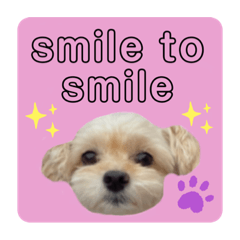 [LINEスタンプ] プリティーチワプー