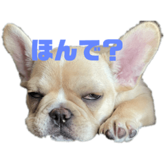 [LINEスタンプ] 紬姫(国宝)