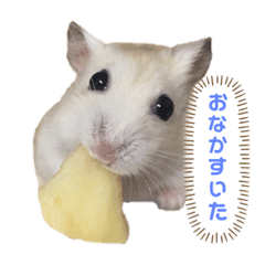 [LINEスタンプ] 日常（キャラメルくんのスタンプ）