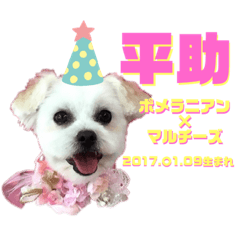 [LINEスタンプ] へいちゃんスタンプ第2弾