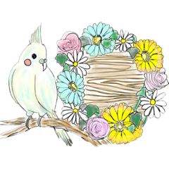 [LINEスタンプ] オカメインコみーたの愉快なスタンプ