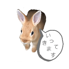 [LINEスタンプ] ミニウサギのモカちゃん①