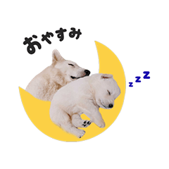 [LINEスタンプ] レティとレティの子供たち。