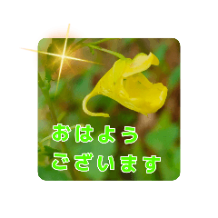 [LINEスタンプ] 丁寧語と山野草 2