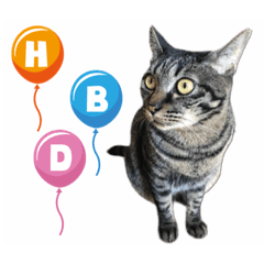 [LINEスタンプ] キジ猫ミミちゃんとゆかいな仲間たち