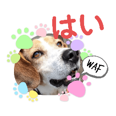 [LINEスタンプ] うしおのリアクションスタンプ その②