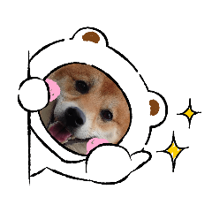 [LINEスタンプ] 柴犬♀さくらの日常3
