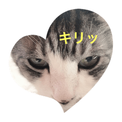 [LINEスタンプ] ぴぴことまさお