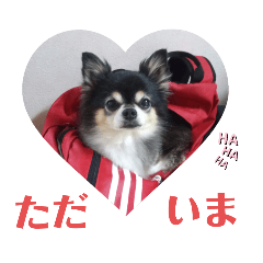 [LINEスタンプ] チワワ パピィ