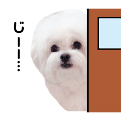 [LINEスタンプ] みるちゃん日常スタンプ①