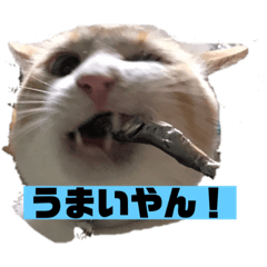 [LINEスタンプ] うちのカリンさん4